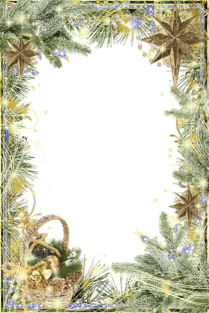 26