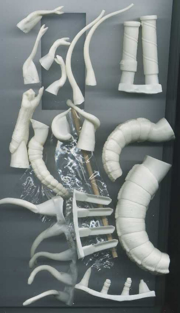 medusa3