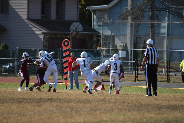 IMG-8229.jpg