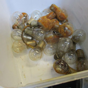 IMG-5825