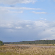 DSC00692