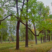 DSCF2358