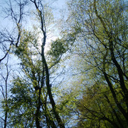 DSC-0174