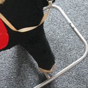 IMG-8845
