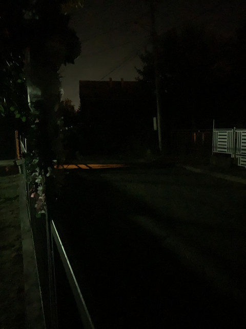 IMG-8628