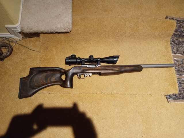 RUGERVolquartzen10-22lr