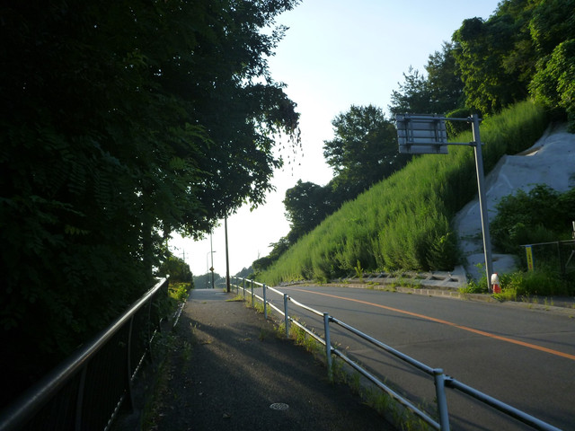 P1340743.jpg
