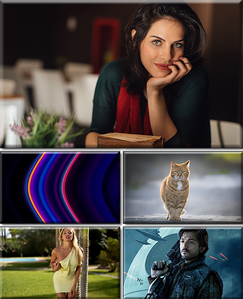 Computer Desktop Wallpapers Collection. Part 2760