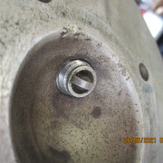 IMG-5528
