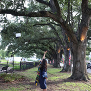 IMG-0508