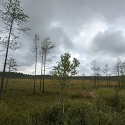IMG 4533
