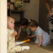 IMG 5633
