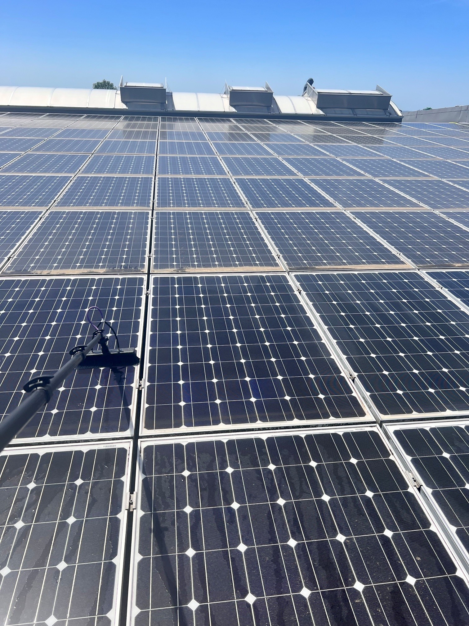 Direkter Vorher-Nachher-Kontrast auf den PV-Modulen: oben noch verschmutzt, unten bereits gereinigt – Industriedach Bergisch Gladbach