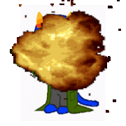 IMG-7829.gif