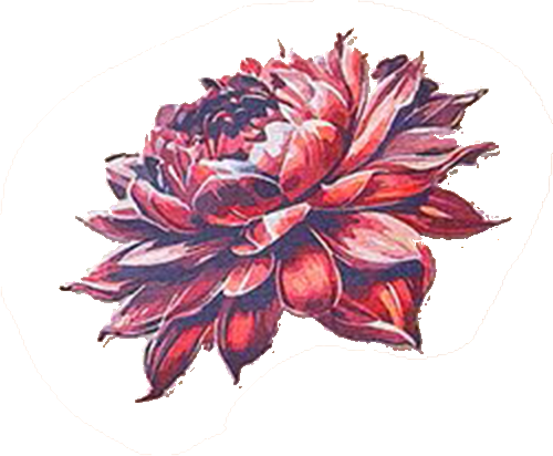 bb6b17fd50baebcc5c6d26719563051a.png