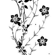 pngegg 25