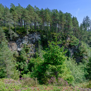 DSF6384