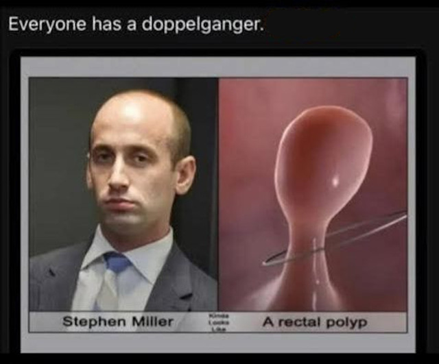 rctlpolyp.jpg