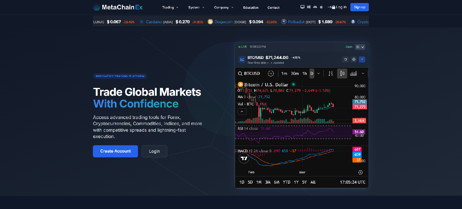 Stored screenshot of metachainex.com