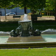 DSCF9134