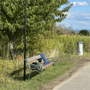 IMG-2544