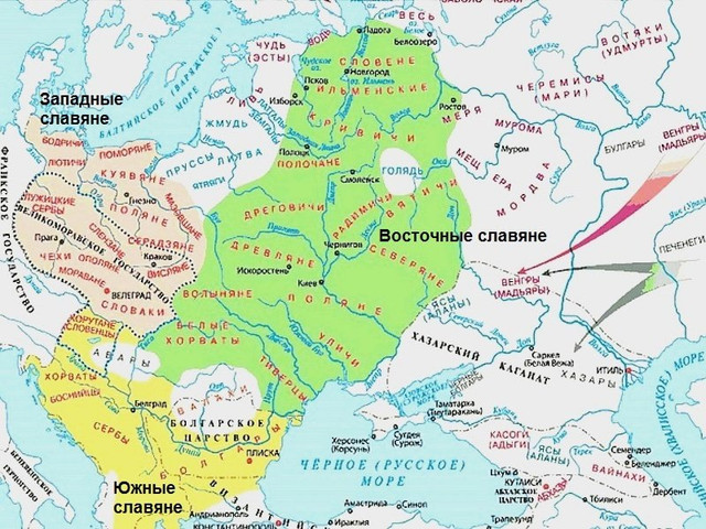 https://i.ibb.co/W4YHpjJn/scale-1200.jpg