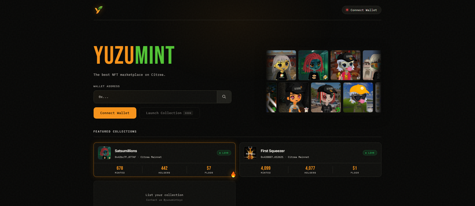 Stored capture of yuzumint.xyz