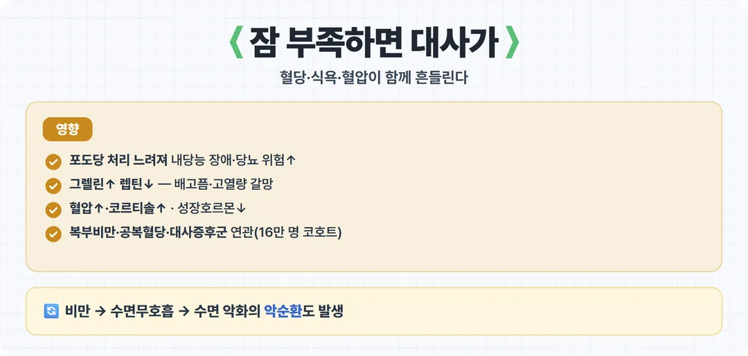 수면 부족이 대사에 미치는 영향 카드