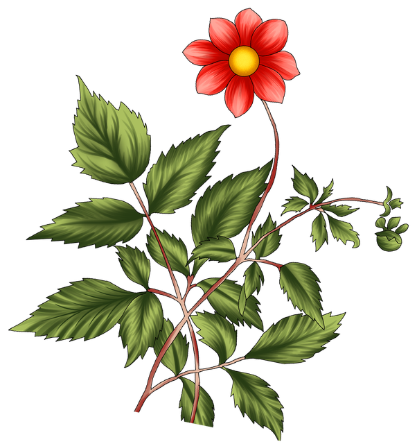 58cde8a6cde6aea7a2eb6dd7a8825c05.png