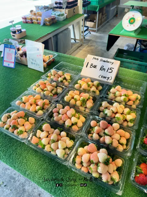 Agro Market3.webp