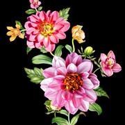 shutterstock 2004302027