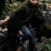 22a.webp