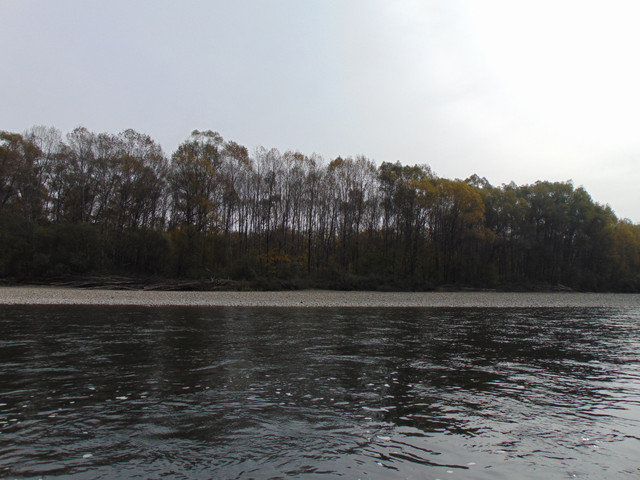 DSC06694.jpg