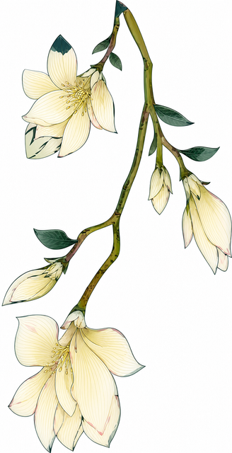 Firefly gpt image (2).png
