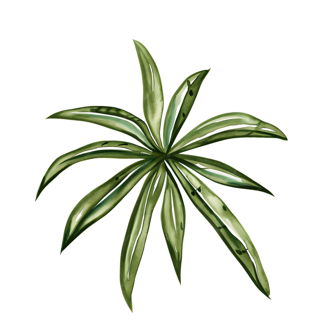 fe89c7e454c964ecb5c4e5855a3636ef.png