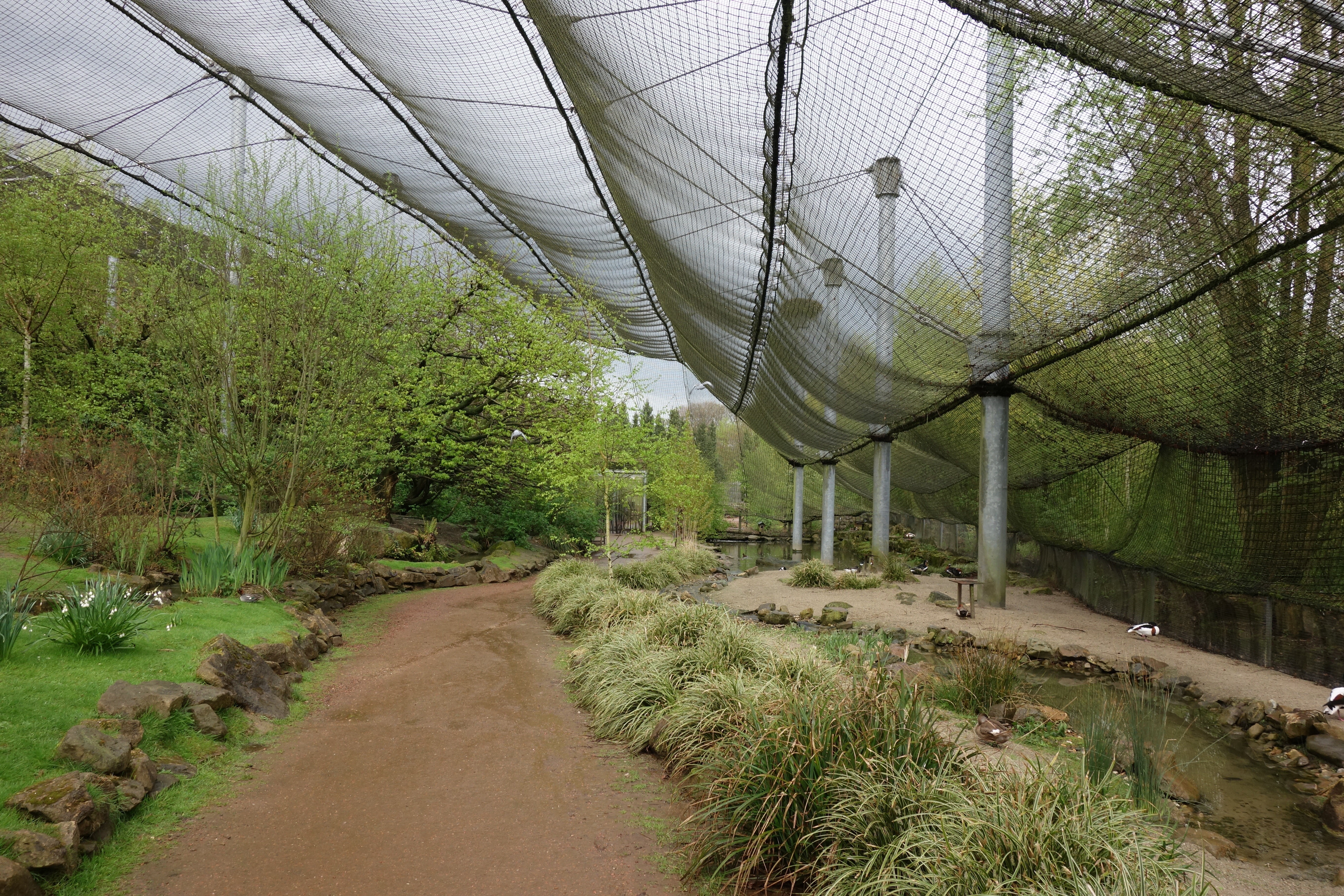 DSC00614