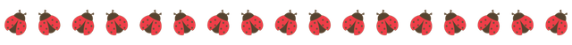 IMG 5070.png