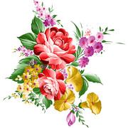 shutterstock 1333043831