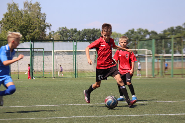 IMG-0324