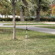 IMG 2923