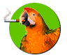 nosmoking.gif