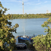 IMG 4120