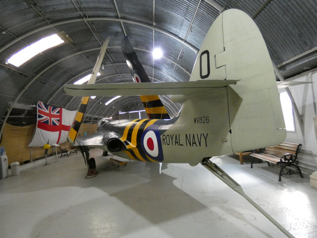 P1060581-Copy.jpg