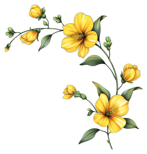 1a6aea2d69c7d1e9c772e8f54ada8fc3.jpg