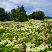 DSC03418