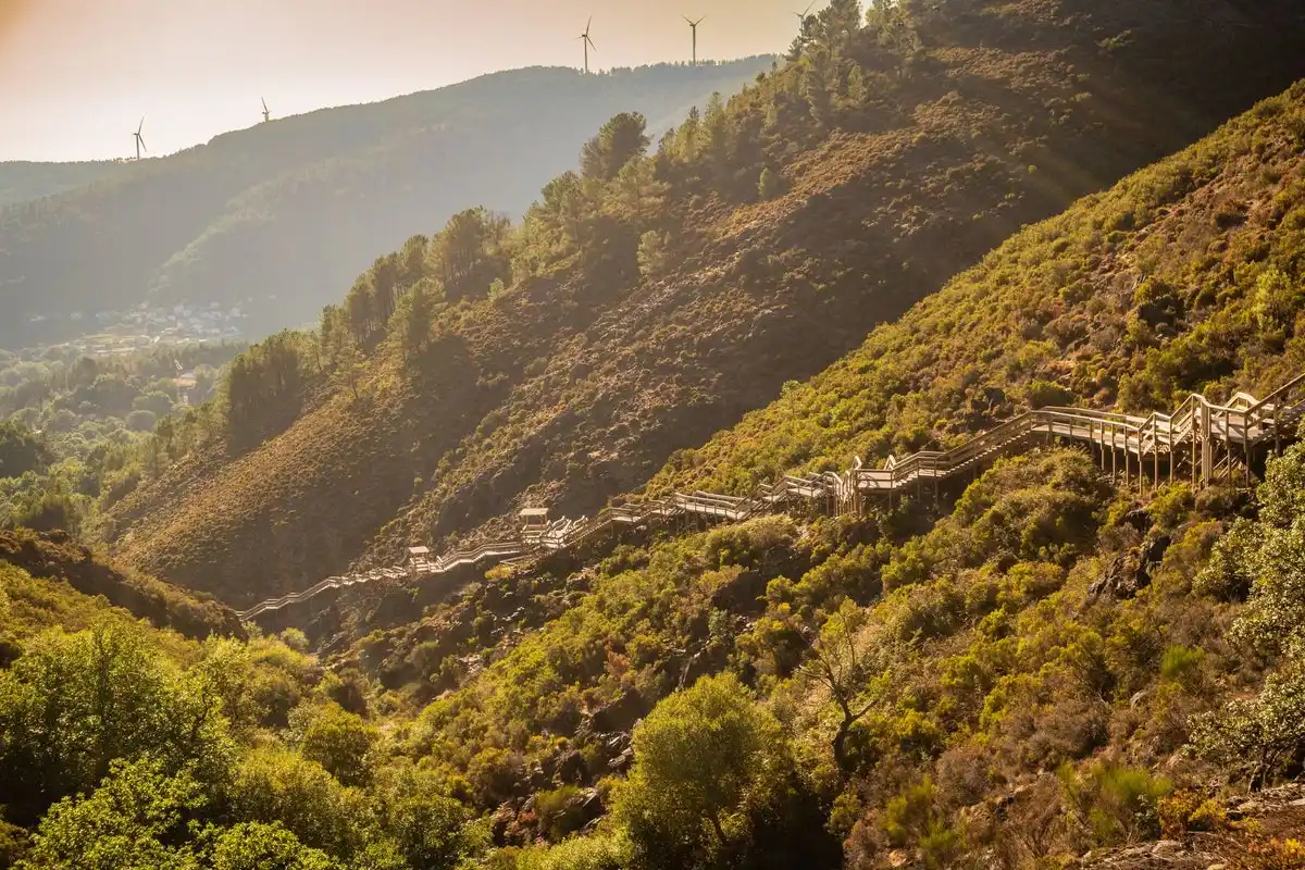 New Adventure Park Planned for Central Portugal