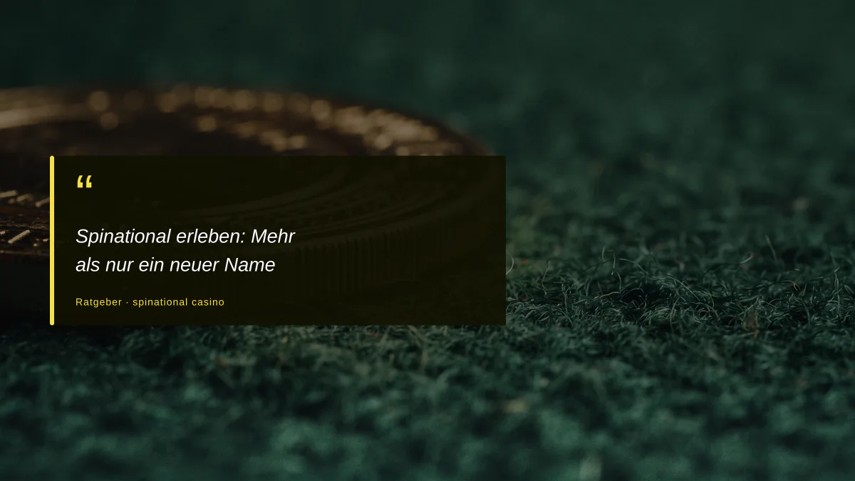 Spinational erleben: Mehr als nur ein neuer Name