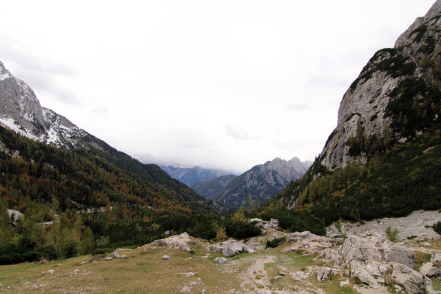 IMG-0242