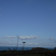 DSCF5489