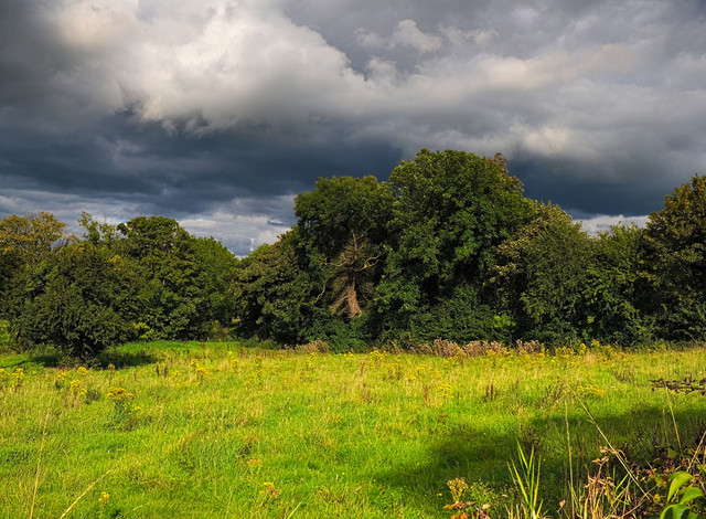 DSCF2297.jpg